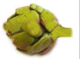 (image for) Artichoke