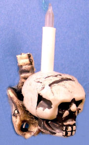 Skull sconce