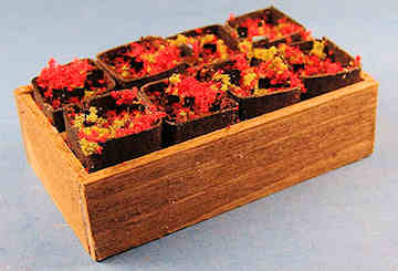 (image for) Flat of plants - red