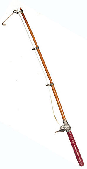 (image for) Fishing rod