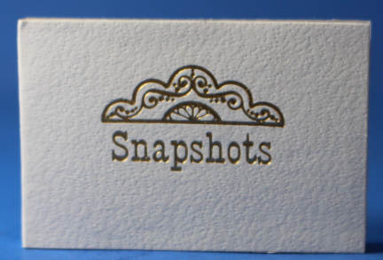 (image for) Snapshots album - faux leather cover