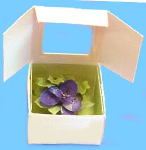 Orchid corsage in box