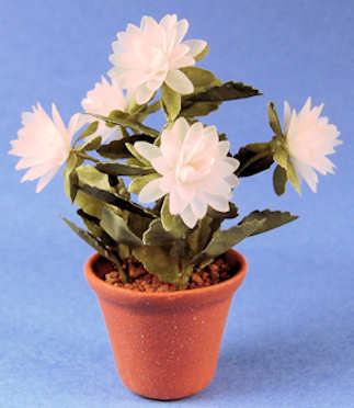 (image for) Dahlia - antique white