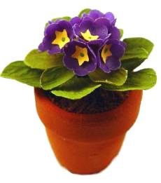 (image for) Primrose - purple