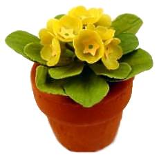 Primrose - yellow - Click Image to Close