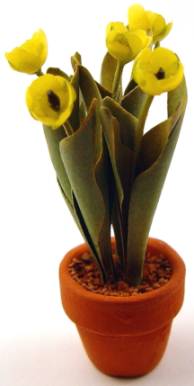 Tulip - yellow - Click Image to Close