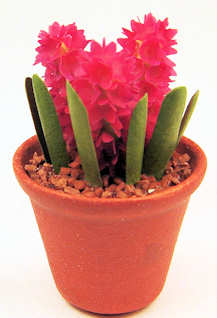 Hyacinth - dark pink - Click Image to Close