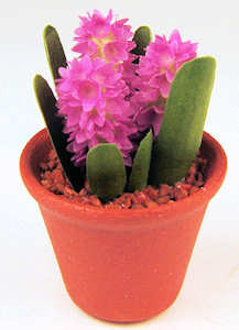 Hyacinth - mauve