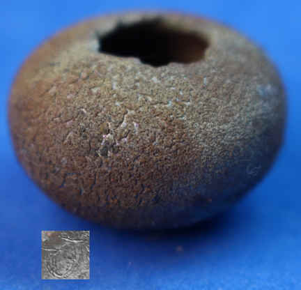 (image for) Pot by Jon Almeda