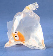 (image for) Goldfish from a pet store
