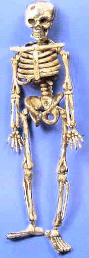 (image for) Old skeleton