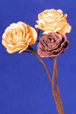 Roses long stemmed - set of 3