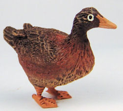 Standing brown duck