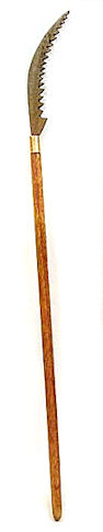 (image for) Pruning saw