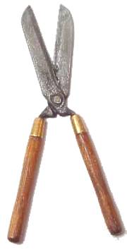 (image for) Hedge clippers