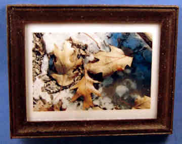 Framed photograph - "Leaves"