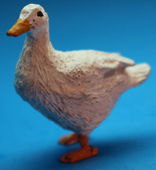 White duck