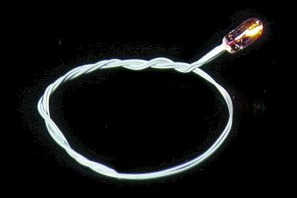 (image for) GOW (grain of wheat) bulb