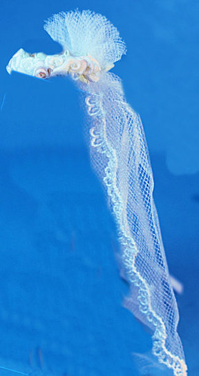 Bride's veil - Click Image to Close