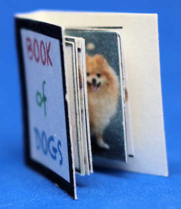 (image for) Cat book - photos