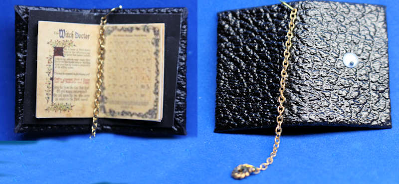 (image for) Open book with eye