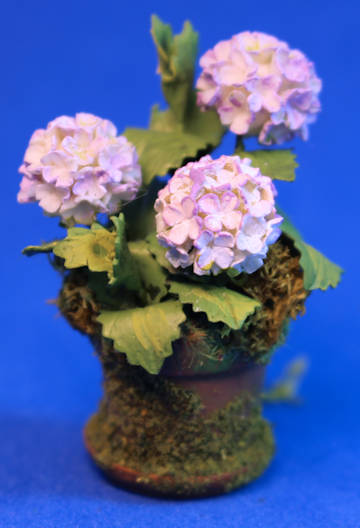 (image for) Hydrangeas in mossy pot - 3 flowers - lavendar