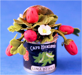 Strawberry plant in can - Click Image to Close