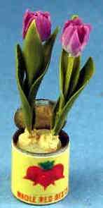 Tulip in can - purple - Click Image to Close
