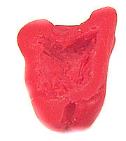Red pepper - cut in half - Click Image to Close