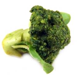 (image for) Brocolli