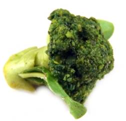 Brocolli