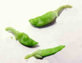 Peas in a pod/pkg of 3