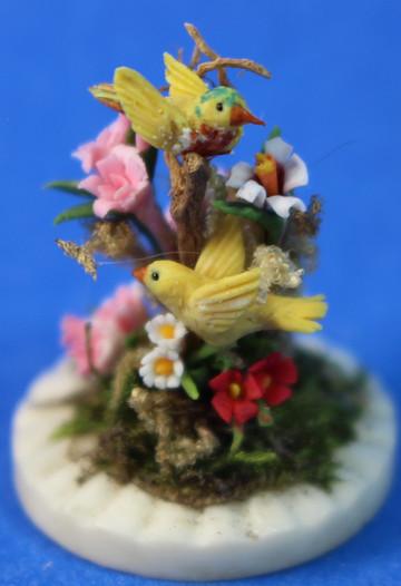 (image for) Birds in garden