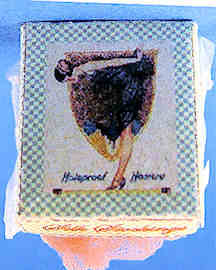 (image for) Silk stockings box - Holeproof