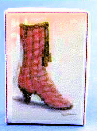 Lady's shoe box - tassle boot