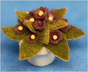 (image for) Primrose