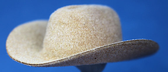 Cowboy hat - Click Image to Close