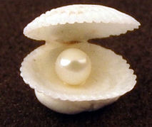 (image for) Akoyo eorl in shell