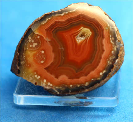 (image for) Coyamito agate - from Mexico