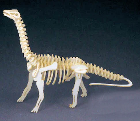 Brontosaurus model